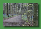 Hyacintenjogging (43)